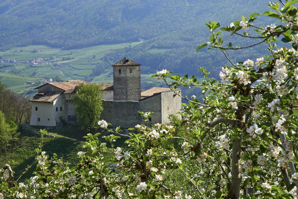 B&B La Casa Del Sole San Michele all'Adige Exterior photo